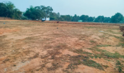 Soham Vihar